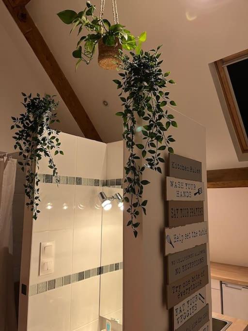 Magnifique Loft 2-3 Personnes Tout Confort ブローニュ・シュル・メール エクステリア 写真